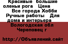 Красивые  большие оленьи рога › Цена ­ 3 000 - Все города Хобби. Ручные работы » Для дома и интерьера   . Вологодская обл.,Череповец г.